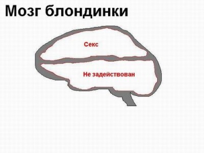 105451.jpg