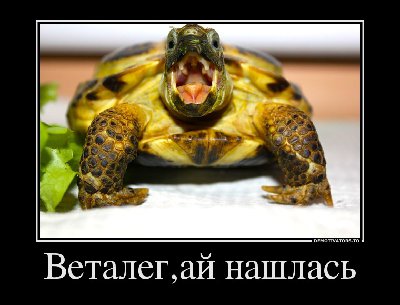 178589_vetalegaj-nashlas_demotivators_ru.jpg