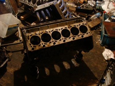 ����������� 192.jpg