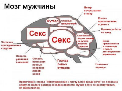 ���� �������.jpg