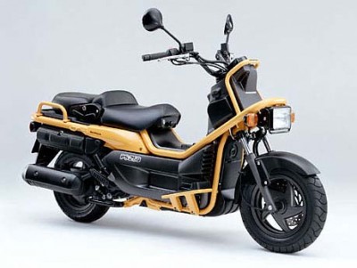 HONDA PS250 BIG RUCKUS.jpg