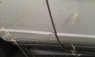 IMAG0743.jpg